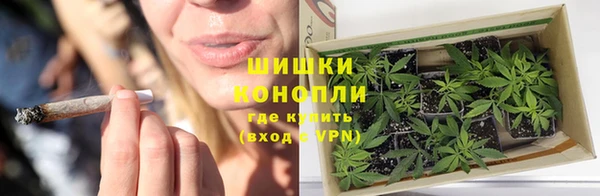 молекула духа Вязьма